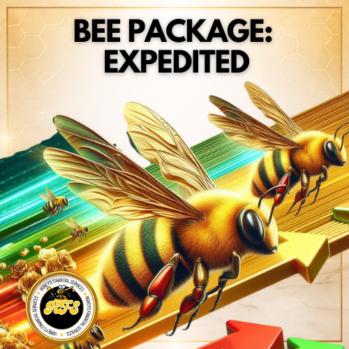 Paquete Bee: Reparación de crédito acelerada (4 rondas adicionales)
