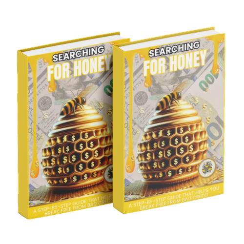 Searching For Honey: DIY Credit Repair Kit eBook