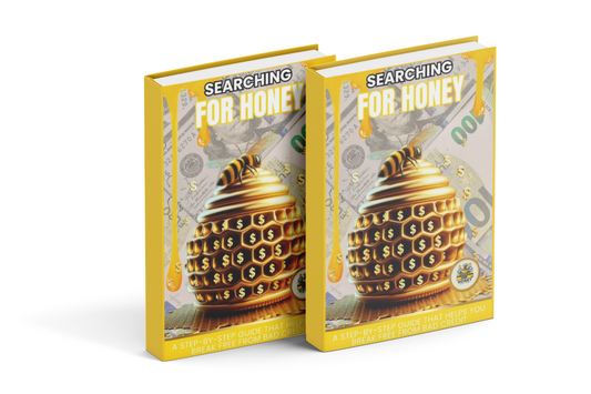 Searching For Honey: DIY Credit Repair Kit eBook